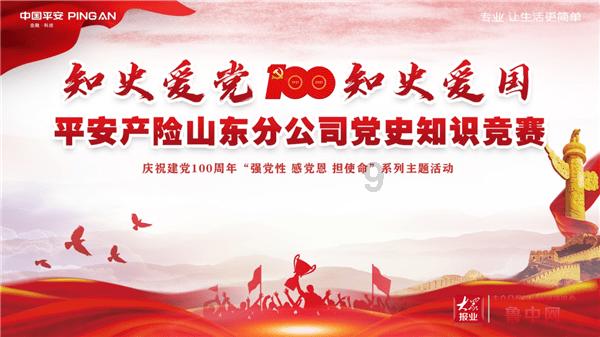进击的飞机